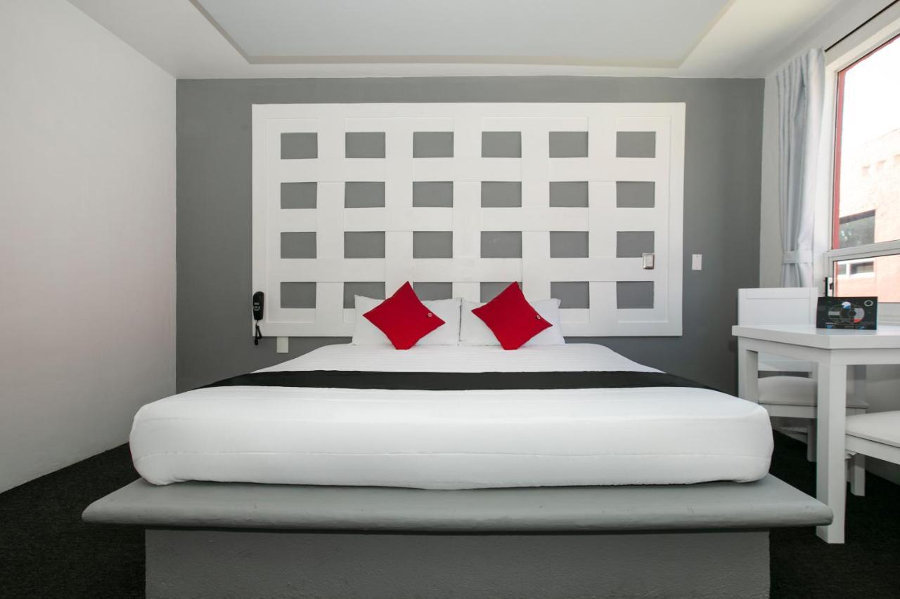 Hotel Euro Confort,Pachuca المظهر الخارجي الصورة